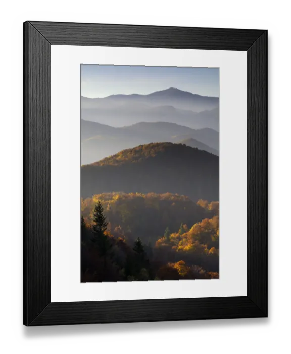 Framed Print : Forest covered hills, Piatra Craiului National Park, Transylvania, Southern Carpathian Mountains Framed Print : Forest covered hills, Piatra Craiului National Park, Transylvania, Southern Carpathian Mountains