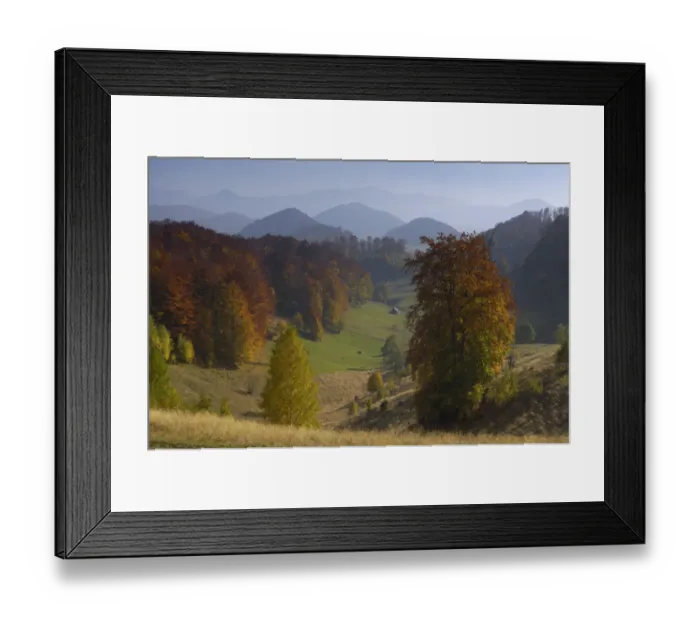 Framed Print : Pastures and forest covered hills, Piatra Craiului National Park, Transylvania, Southern Framed Print : Pastures and forest covered hills, Piatra Craiului National Park, Transylvania, Southern