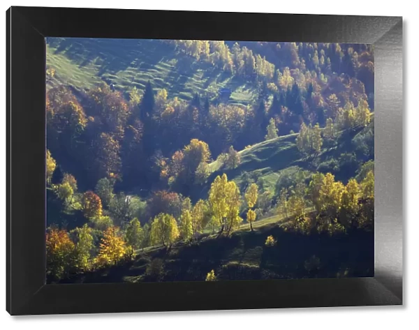 Rural landscape in autumn, Piatra Craiului National Park, Transylvania, Southern