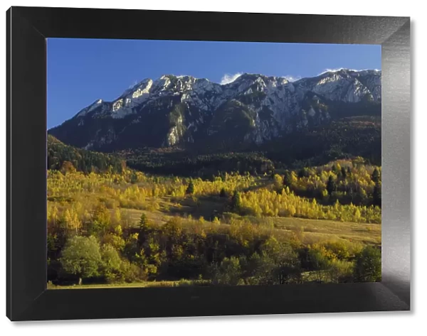 Piatra Craiului massif, Piatra Craiului National Park, Transylvania, Southern Carpathian Mountains
