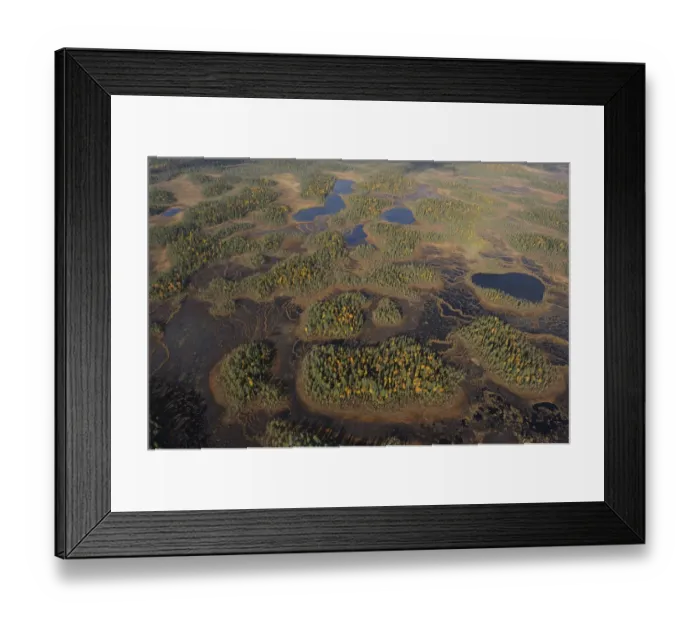 Framed Print : Aerial view of Peat bog, Oulanka National Park, Finland, September 2008 Framed Print : Aerial view of Peat bog, Oulanka National Park, Finland, September 2008