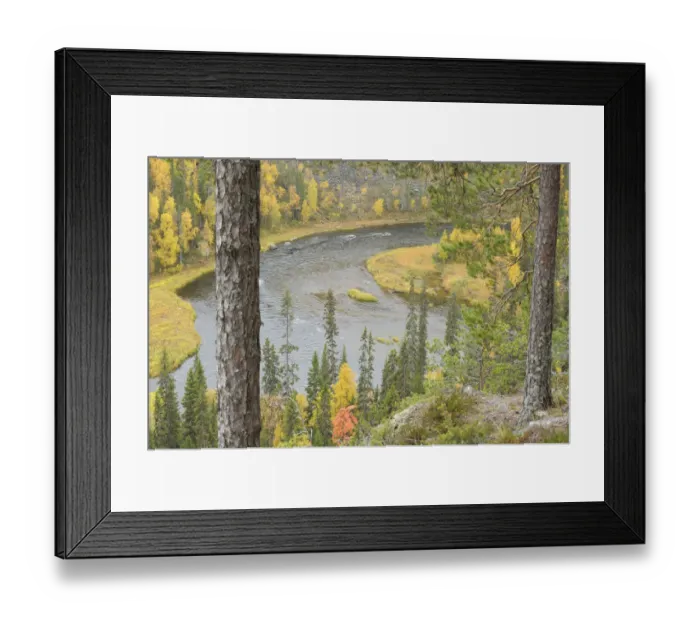 Framed Print : Kitkajoki River, Oulanka National Park, Finland, September 2008 Framed Print : Kitkajoki River, Oulanka National Park, Finland, September 2008