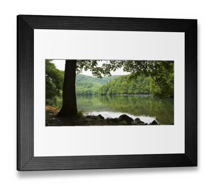Framed Print : Morske Oko Lake surrounded by a deciduous forest, Morske Oko Reserve, Vihorlat Mountains Framed Print : Morske Oko Lake surrounded by a deciduous forest, Morske Oko Reserve, Vihorlat Mountains