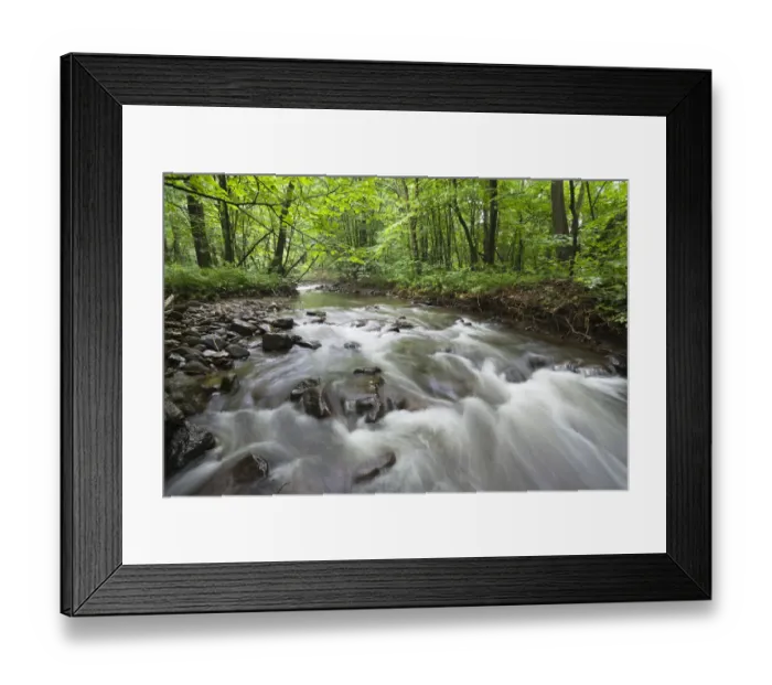 Framed Print : Okna river, Morske Oko Reserve, Vihorlat Mountains, East Slovakia, Europe, June 2008 Framed Print : Okna river, Morske Oko Reserve, Vihorlat Mountains, East Slovakia, Europe, June 2008