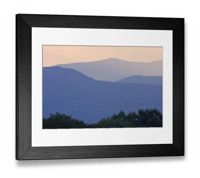 Framed Print : Imperial Eagle flying to the mountains east of Kosice, Slanske vrchy, Eastern Slovakia Framed Print : Imperial Eagle flying to the mountains east of Kosice, Slanske vrchy, Eastern Slovakia