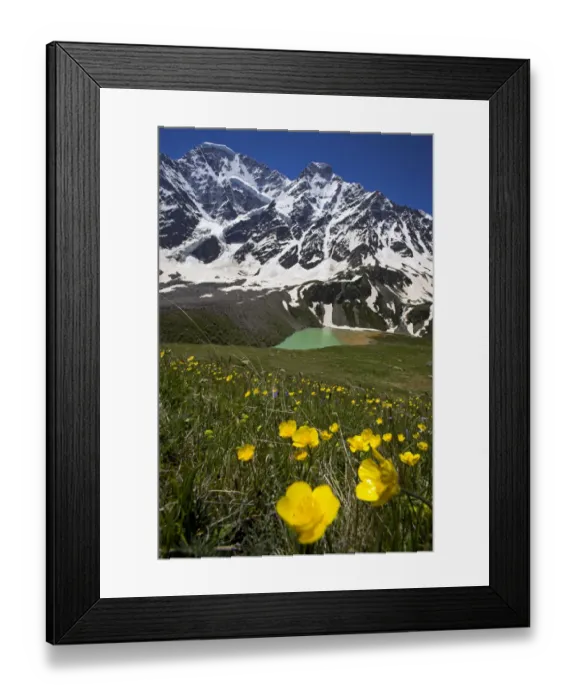 Framed Print : Lake Donguzorun with Mount Donguzorun mountains behind, meadow flowers (Ranunculus sp) Caucasus Framed Print : Lake Donguzorun with Mount Donguzorun mountains behind, meadow flowers (Ranunculus sp) Caucasus