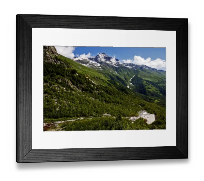 Framed Print : Birch (Betula sp) forest and mountains with snow, Alibek vally near Dombay, Teberdinsky Framed Print : Birch (Betula sp) forest and mountains with snow, Alibek vally near Dombay, Teberdinsky