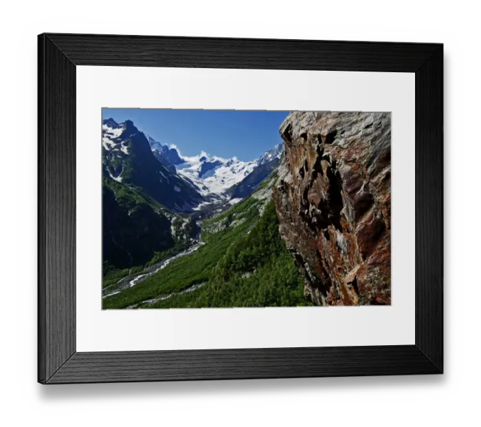 Framed Print : Birch (Betula sp) forest, Amanauz Valley near Dombay, Teberdinsky biosphere reserve Framed Print : Birch (Betula sp) forest, Amanauz Valley near Dombay, Teberdinsky biosphere reserve