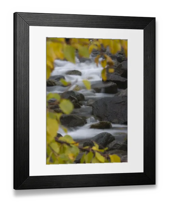 Framed Print : Cascading river through autumnal foliage, Sarek National Park, Laponia World Heritage Site Framed Print : Cascading river through autumnal foliage, Sarek National Park, Laponia World Heritage Site