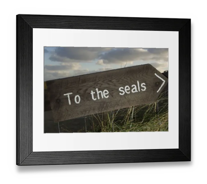 Framed Print : Sign pointing the way to Grey seals (Halichoerus grypus) Donna Nook, Lincolnshire Framed Print : Sign pointing the way to Grey seals (Halichoerus grypus) Donna Nook, Lincolnshire