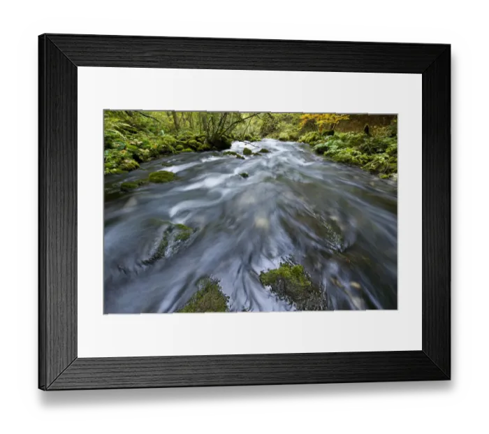 Framed Print : Crna Rijeka Black river springs, Plitvice Lakes National Park, Croatia, October 2008 Framed Print : Crna Rijeka Black river springs, Plitvice Lakes National Park, Croatia, October 2008