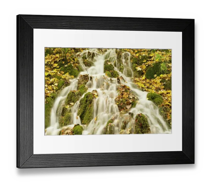 Framed Print : Water running through the woods around Gradinsko Lake, Upper Lakes, Plitvice Lakes National Park, Croatia, October 2008
