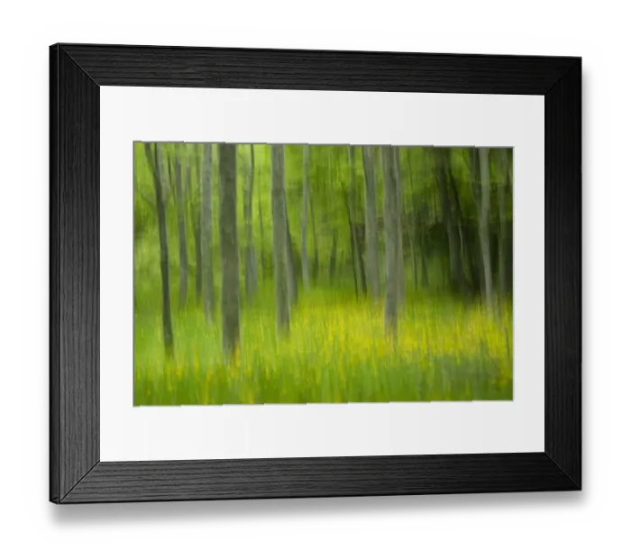 Framed Print : Artistic impression of Foresta Umbra, Gargano NP, Gargano Peninsula, Apulia, Italy, April 2008 Framed Print : Artistic impression of Foresta Umbra, Gargano NP, Gargano Peninsula, Apulia, Italy, April 2008
