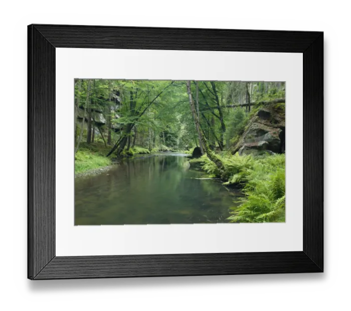 Framed Print : Krinice River flowing through wood with large rocks, Dlouhy Dul, Ceske Svycarsko