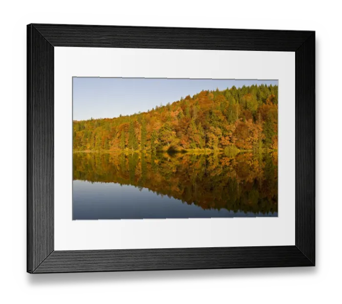 Framed Print : Forest reflected on Proscansko lakes surface, Upper lakes, Plitvice National Park Croatia Framed Print : Forest reflected on Proscansko lakes surface, Upper lakes, Plitvice National Park Croatia