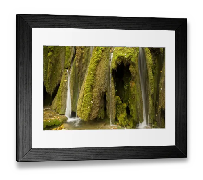 Framed Print : Waterfalls and abundant mosses (Cratoneuron commutatum) and (Bryum ventricosum) growing Framed Print : Waterfalls and abundant mosses (Cratoneuron commutatum) and (Bryum ventricosum) growing