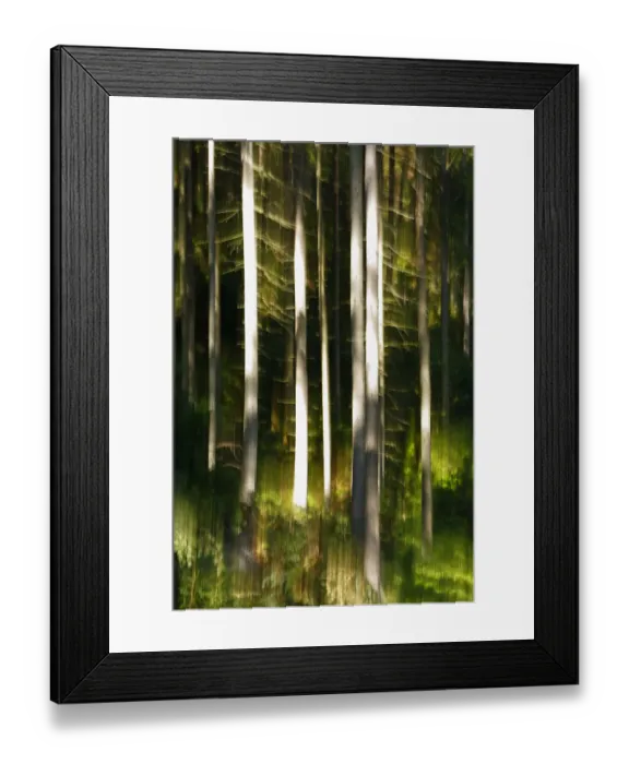 Framed Print : Abstract impression of forest with reflection in Krinice River, Kyov, Ceske Svycarsko Framed Print : Abstract impression of forest with reflection in Krinice River, Kyov, Ceske Svycarsko