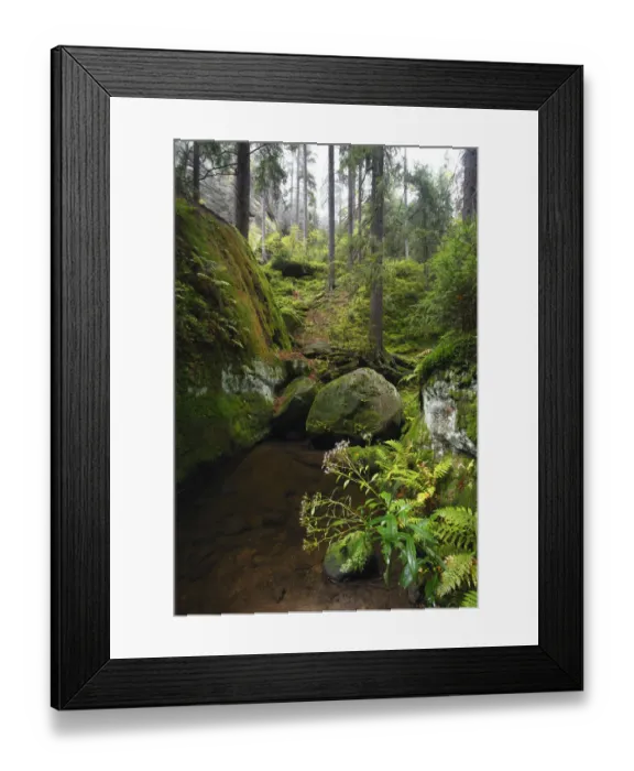 Framed Print : Krinice River flowing by large rocks in wood, Kyov, Ceske Svycarsko / Bohemian Switzerland Framed Print : Krinice River flowing by large rocks in wood, Kyov, Ceske Svycarsko / Bohemian Switzerland