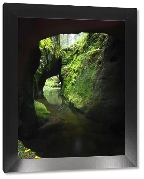 Krinice River flowing through tunnel formed by rocks, Kyov, Ceske Svycarsko  /  Bohemian