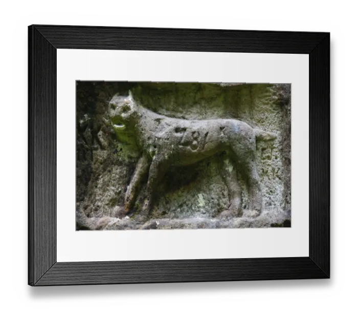 Framed Print : Rysi Kamen / The Lynx Stone, Ceske Svycarsko / Bohemian Switzerland National Park Framed Print : Rysi Kamen / The Lynx Stone, Ceske Svycarsko / Bohemian Switzerland National Park