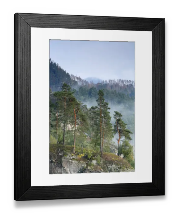 Framed Print : View from Rudolfuv Kamen hillside of forest in light mist, Jetrichovice, Ceske Svycarsko Framed Print : View from Rudolfuv Kamen hillside of forest in light mist, Jetrichovice, Ceske Svycarsko