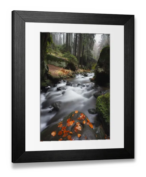 Framed Print : Krinice River flowing past large rocks in forest with fallen leaves on rock in river Framed Print : Krinice River flowing past large rocks in forest with fallen leaves on rock in river