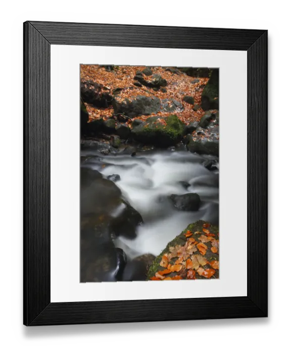 Framed Print : Fallen leaves on rocks on the Krinice River banks, Kyov, Ceske Svycarsko / Bohemian Framed Print : Fallen leaves on rocks on the Krinice River banks, Kyov, Ceske Svycarsko / Bohemian