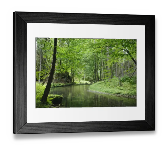 Framed Print : Krinice River flowing through wood, Dlouhy Dul, Ceske Svycarsko / Bohemian Switzerland Framed Print : Krinice River flowing through wood, Dlouhy Dul, Ceske Svycarsko / Bohemian Switzerland