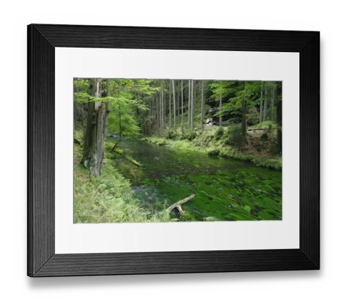Framed Print : Krinice River in wood, Dlouhy Dul, Ceske Svycarsko / Bohemian Switzerland National Park Framed Print : Krinice River in wood, Dlouhy Dul, Ceske Svycarsko / Bohemian Switzerland National Park