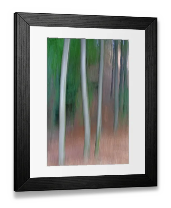 Framed Print : Abstract Trees, Medvedi Diry. Ceske Svycarsko / Bohemian Switzerland National Park Framed Print : Abstract Trees, Medvedi Diry. Ceske Svycarsko / Bohemian Switzerland National Park