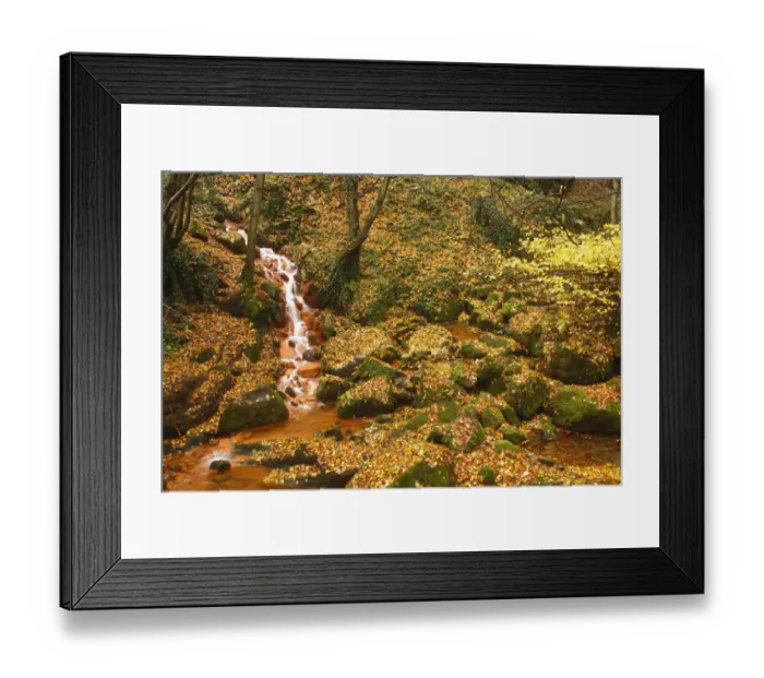 Framed Print : Sucha Kamenice  /  Creek flowing between leaf covered rocks, Hrensko, Ceske Svycarsko