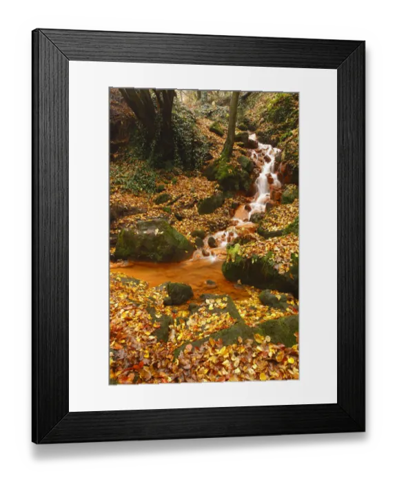 Framed Print : Sucha Kamenice / Creek in forest covered in fallen leaves, Hrensko, Ceske Svycarsko Framed Print : Sucha Kamenice / Creek in forest covered in fallen leaves, Hrensko, Ceske Svycarsko