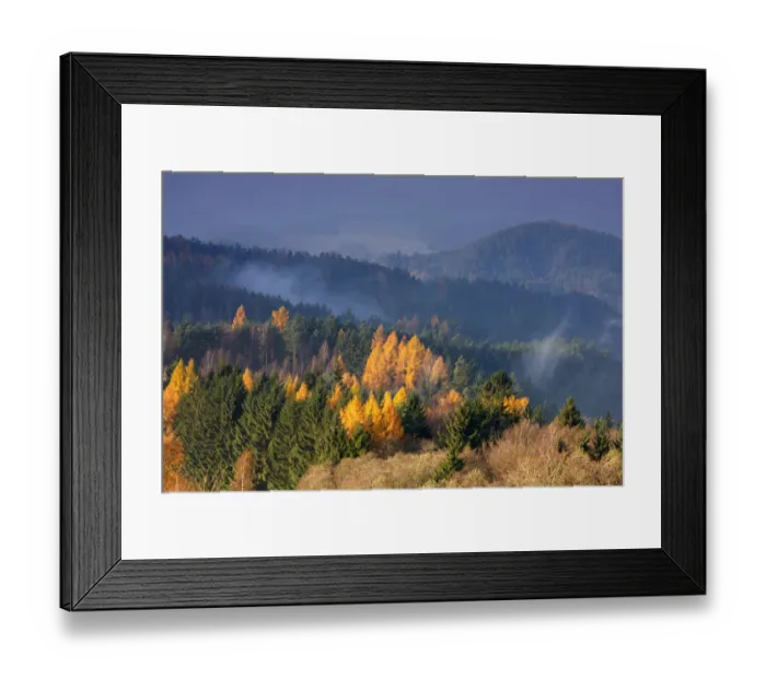 Framed Print : Forest in autumn, Rynartice, Ceske Svycarsko / Bohemian Switzerland National Park Framed Print : Forest in autumn, Rynartice, Ceske Svycarsko / Bohemian Switzerland National Park