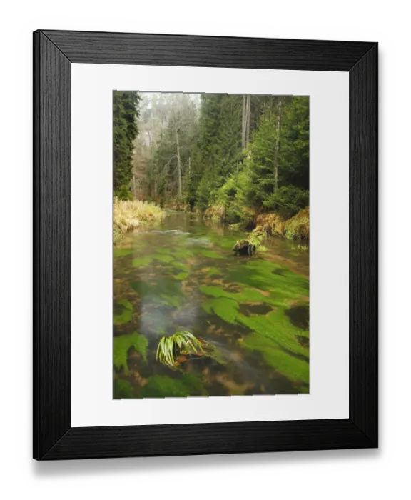Framed Print : Krinice River in forest, Brtnicky, Ceske Svycarsko / Bohemian Switzerland National Park Framed Print : Krinice River in forest, Brtnicky, Ceske Svycarsko / Bohemian Switzerland National Park
