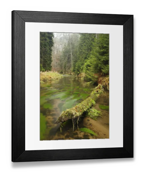 Framed Print : Krinice River, Brtnicky, Ceske Svycarsko / Bohemian Switzerland National Park, Czech Republic Framed Print : Krinice River, Brtnicky, Ceske Svycarsko / Bohemian Switzerland National Park, Czech Republic