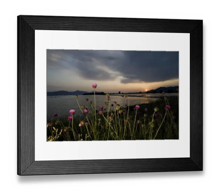 Framed Print : Neretva river delta at sunset, eastern coast of the Adriatic sea, Dalmatia region Framed Print : Neretva river delta at sunset, eastern coast of the Adriatic sea, Dalmatia region