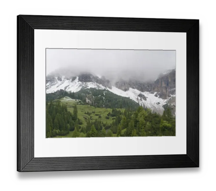 Framed Print : Fresh snow below mountains hidden in clouds with European larch trees (Larix decidua) growing Framed Print : Fresh snow below mountains hidden in clouds with European larch trees (Larix decidua) growing