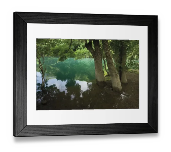 Framed Print : Ash trees (probably Fraxinus angustifolia) in flood water along the Trebizat River