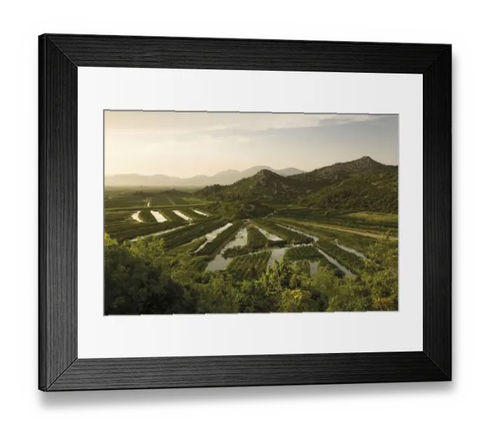 Framed Print : Cultivated part of the lower Neretva river delta, Dalmatia region, Croatia, May 2009 Framed Print : Cultivated part of the lower Neretva river delta, Dalmatia region, Croatia, May 2009