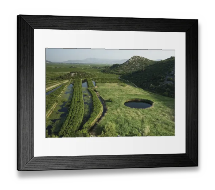 Framed Print : Cultivated part of the lower Neretva river delta with a sinkhole in marshland surrounded by Reeds Framed Print : Cultivated part of the lower Neretva river delta with a sinkhole in marshland surrounded by Reeds