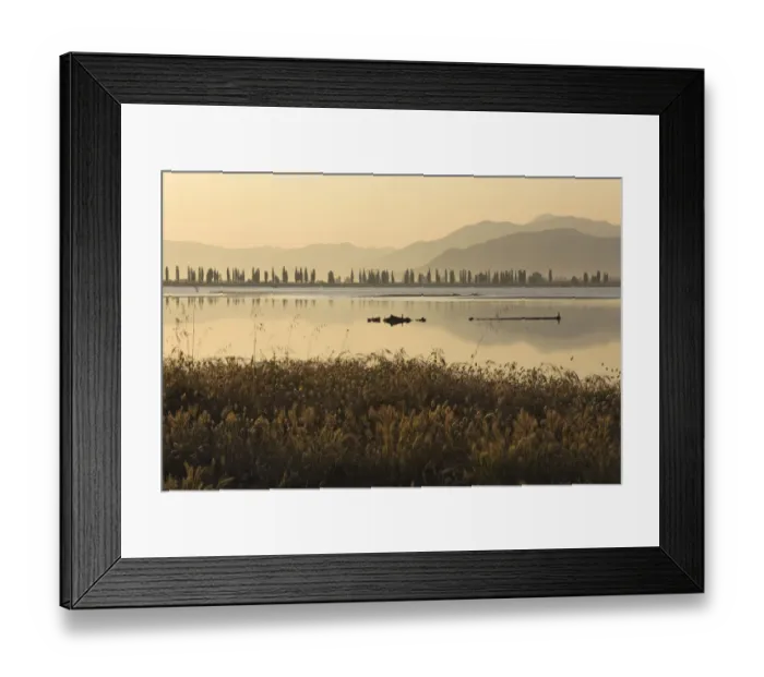 Framed Print : Neretva river delta, with Harestail grass (Lagurus ovatus) in the foreground, Mediterranean Framed Print : Neretva river delta, with Harestail grass (Lagurus ovatus) in the foreground, Mediterranean