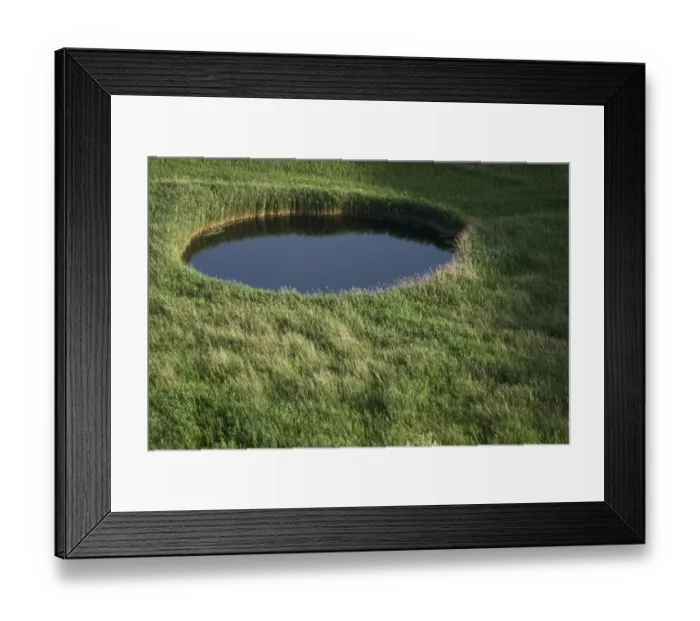 Framed Print : Sinkhole in marshland covered in Reeds (Phragmites sp) near the lower Neretva river delta Framed Print : Sinkhole in marshland covered in Reeds (Phragmites sp) near the lower Neretva river delta