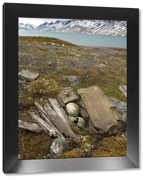 Pomor grave, Trygghamna, Svalbard, Norway, July 2008