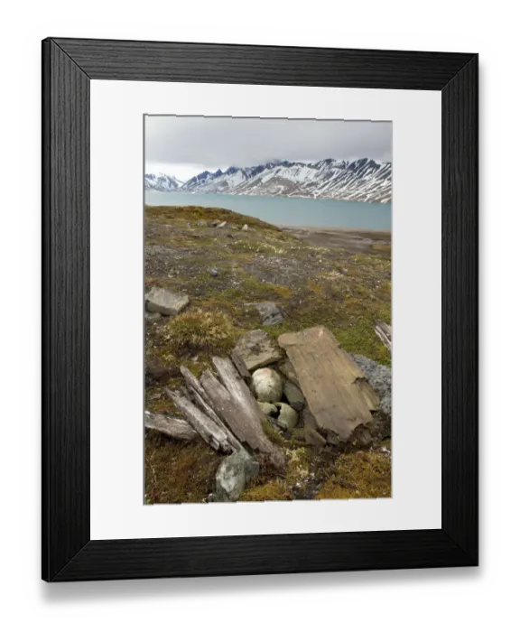 Framed Print : Pomor grave, Trygghamna, Svalbard, Norway, July 2008