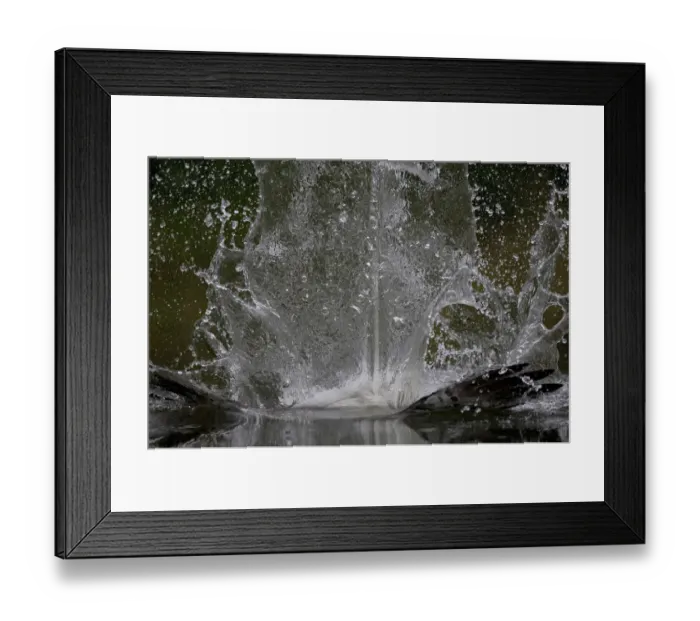 Framed Print : Splash in water made by Osprey (Pandion haliaetus) fishing, Kangasala, Finland, August Framed Print : Splash in water made by Osprey (Pandion haliaetus) fishing, Kangasala, Finland, August
