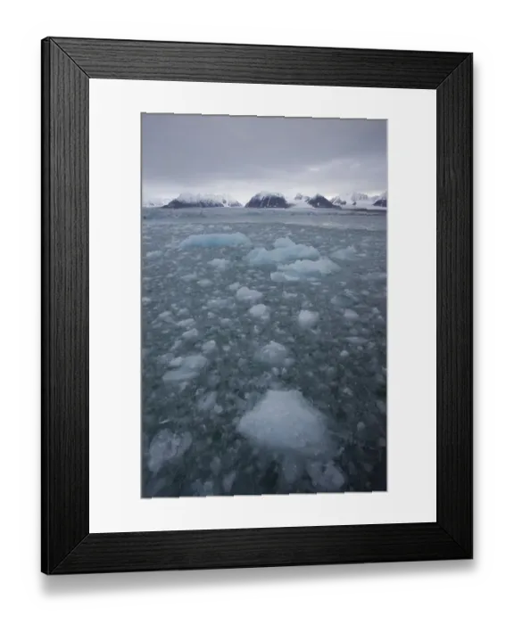 Framed Print : Thawing ice floes on the sea, Svalbard, Norway, September 2009 Framed Print : Thawing ice floes on the sea, Svalbard, Norway, September 2009