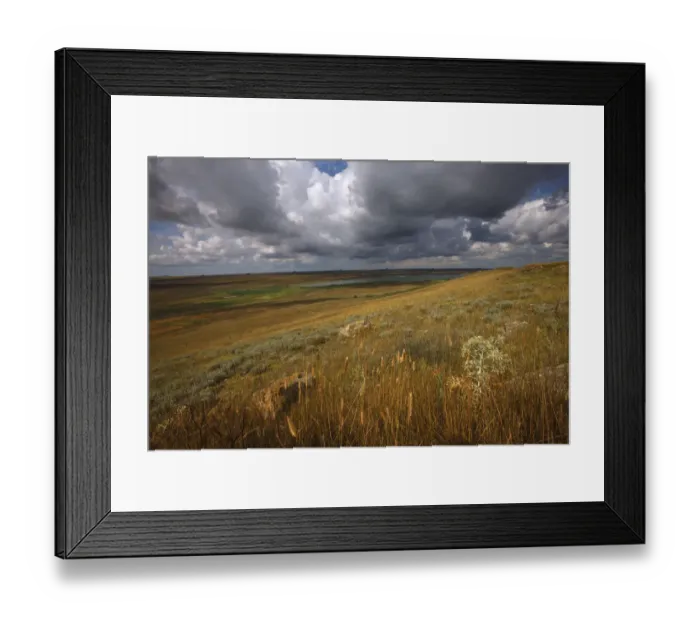 Framed Print : Steppe landscape, Bagerova Steppe, Kerch Peninsula, Crimea, Ukraine, July 2009 Framed Print : Steppe landscape, Bagerova Steppe, Kerch Peninsula, Crimea, Ukraine, July 2009