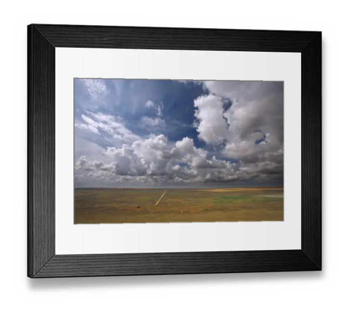Framed Print : Bagerova Steppe, Kerch Peninsula, Crimea, Ukraine, July 2009 Framed Print : Bagerova Steppe, Kerch Peninsula, Crimea, Ukraine, July 2009