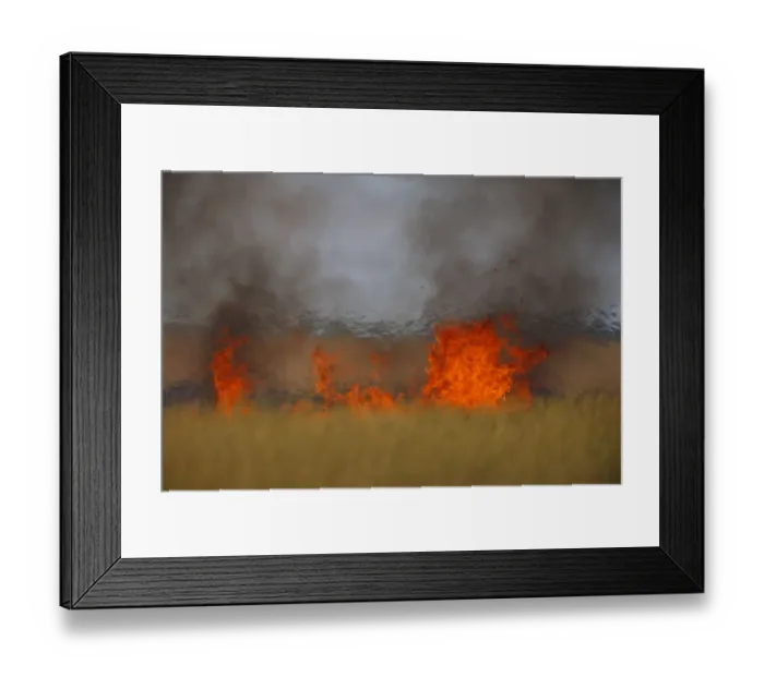 Framed Print : Steppe fields on fire, Bagerova Steppe, Kerch Peninsula, Crimea, Ukraine, July 2009 Framed Print : Steppe fields on fire, Bagerova Steppe, Kerch Peninsula, Crimea, Ukraine, July 2009