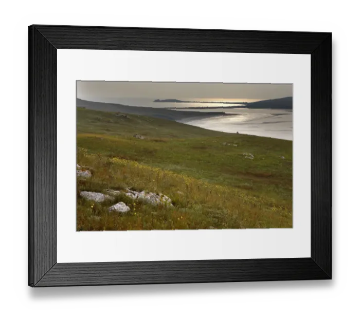 Framed Print : Bagerova Steppe, Kerch Peninsula, Crimea, Ukraine, July 2009 Framed Print : Bagerova Steppe, Kerch Peninsula, Crimea, Ukraine, July 2009